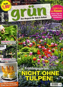 Titelblatt der Zeitschrift Grün - Kreativ mit Blumen & Pflanzen im Prämienabo