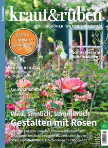 Titelblatt der Zeitschrift kraut & rüben Leser werben