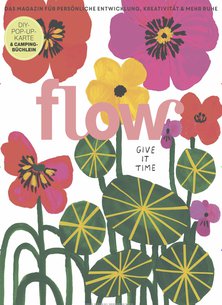 Titelblatt der Zeitschrift flow Leser werben