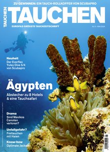 Titelblatt der Zeitschrift tauchen im Prämienabo