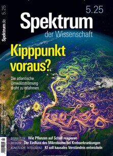 Titelblatt der Zeitschrift Spektrum DER WISSENSCHAFT im Prämienabo