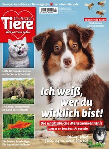 Titelblatt der Zeitschrift Ein Herz für Tiere im Geschenkabo