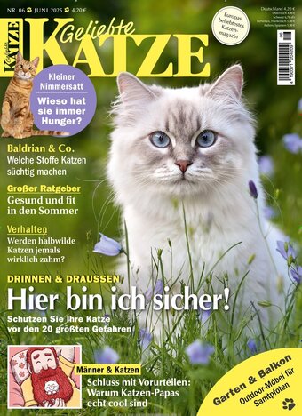 Geliebte KATZE Abo beim Leserservice